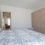 Corallo By Interhome Viareggio
